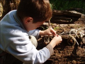 Certificate in Outdoor Learning